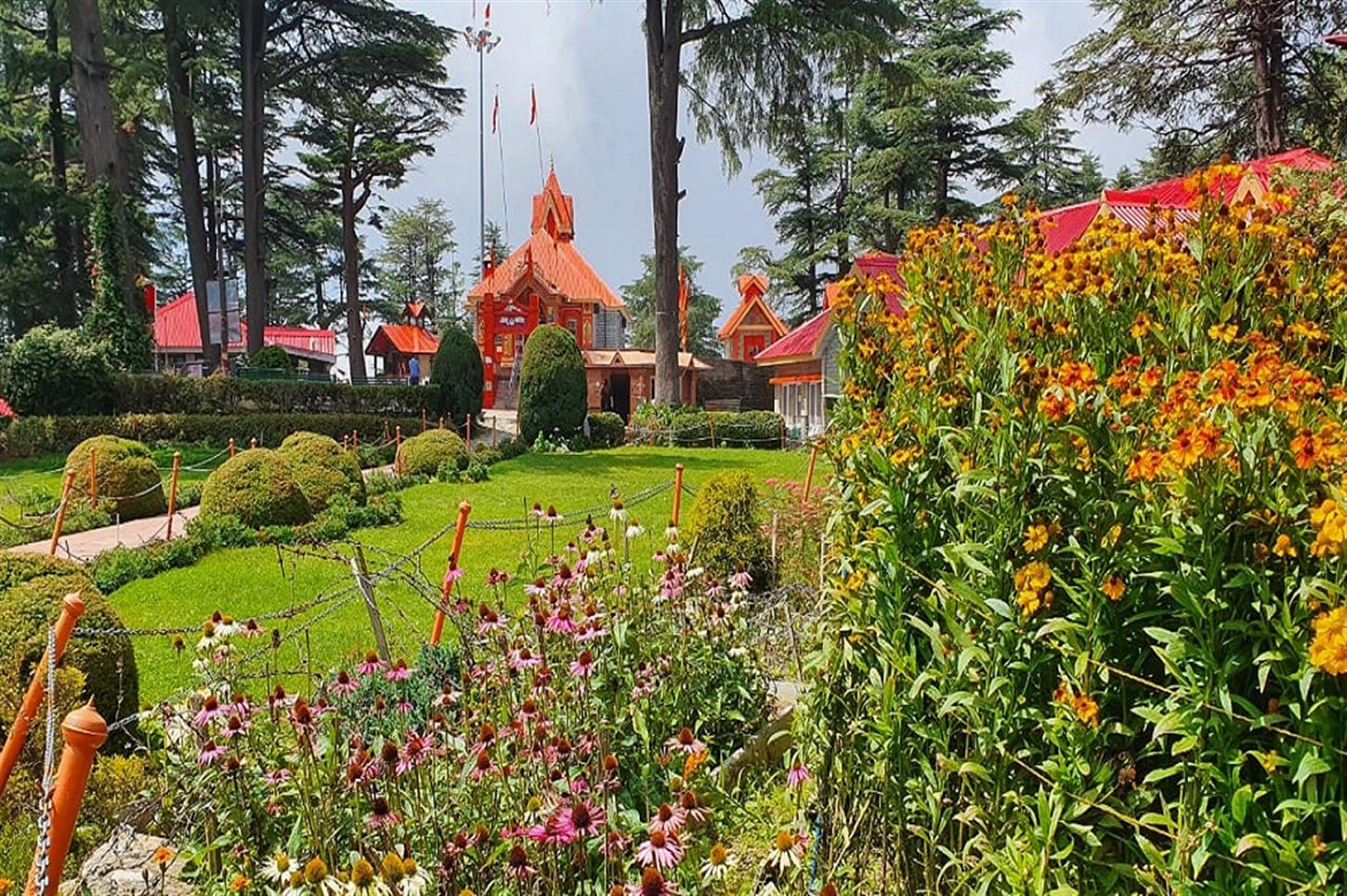 Chandigarh  Shimla  Tour Package